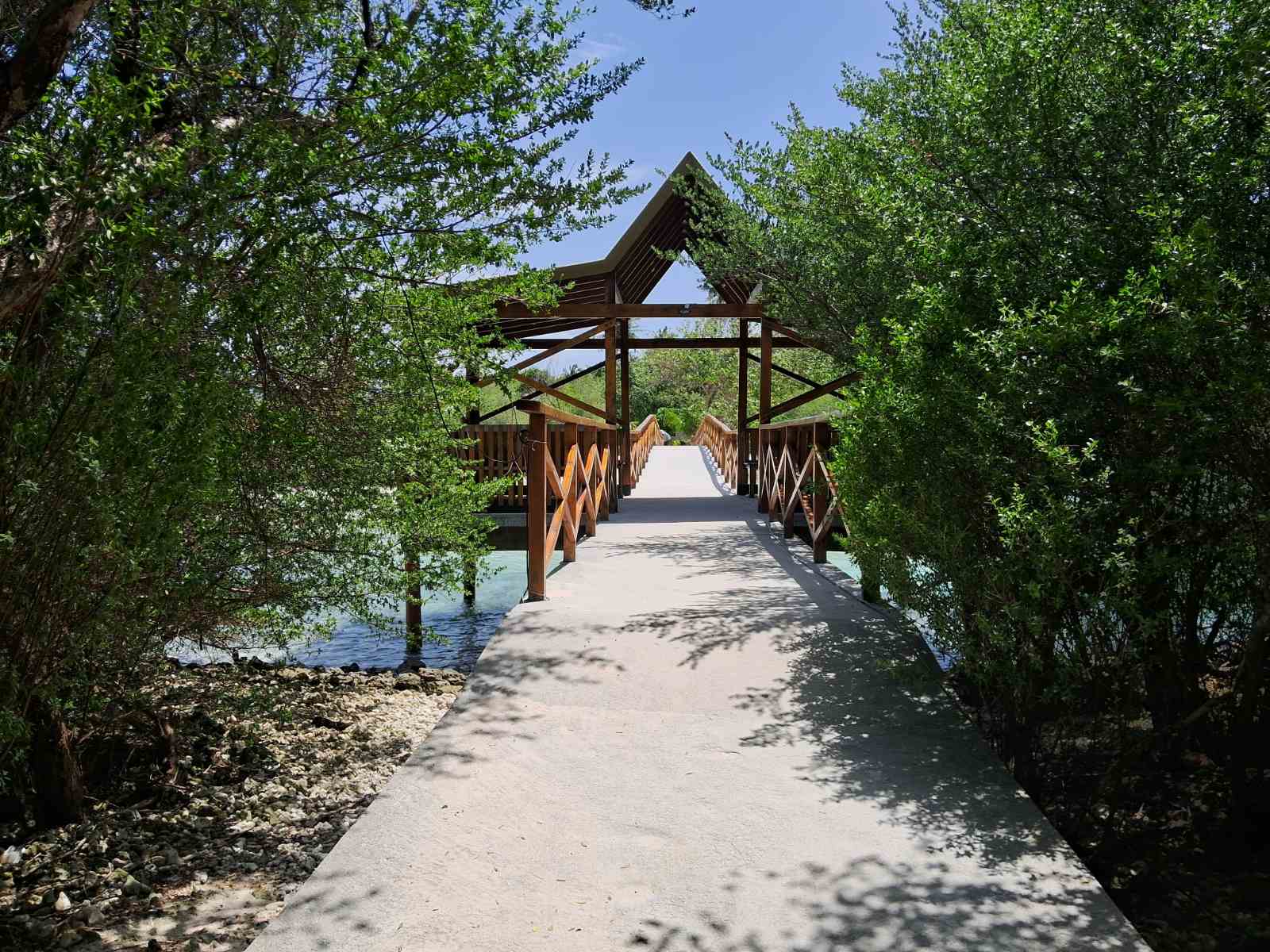 viber image 2025 06 04 17 28 44 083